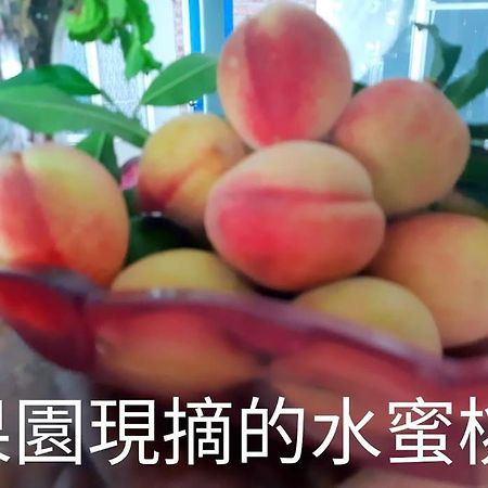 東河郷 台東 霖園 B＆B Bed & Breakfast エクステリア 写真